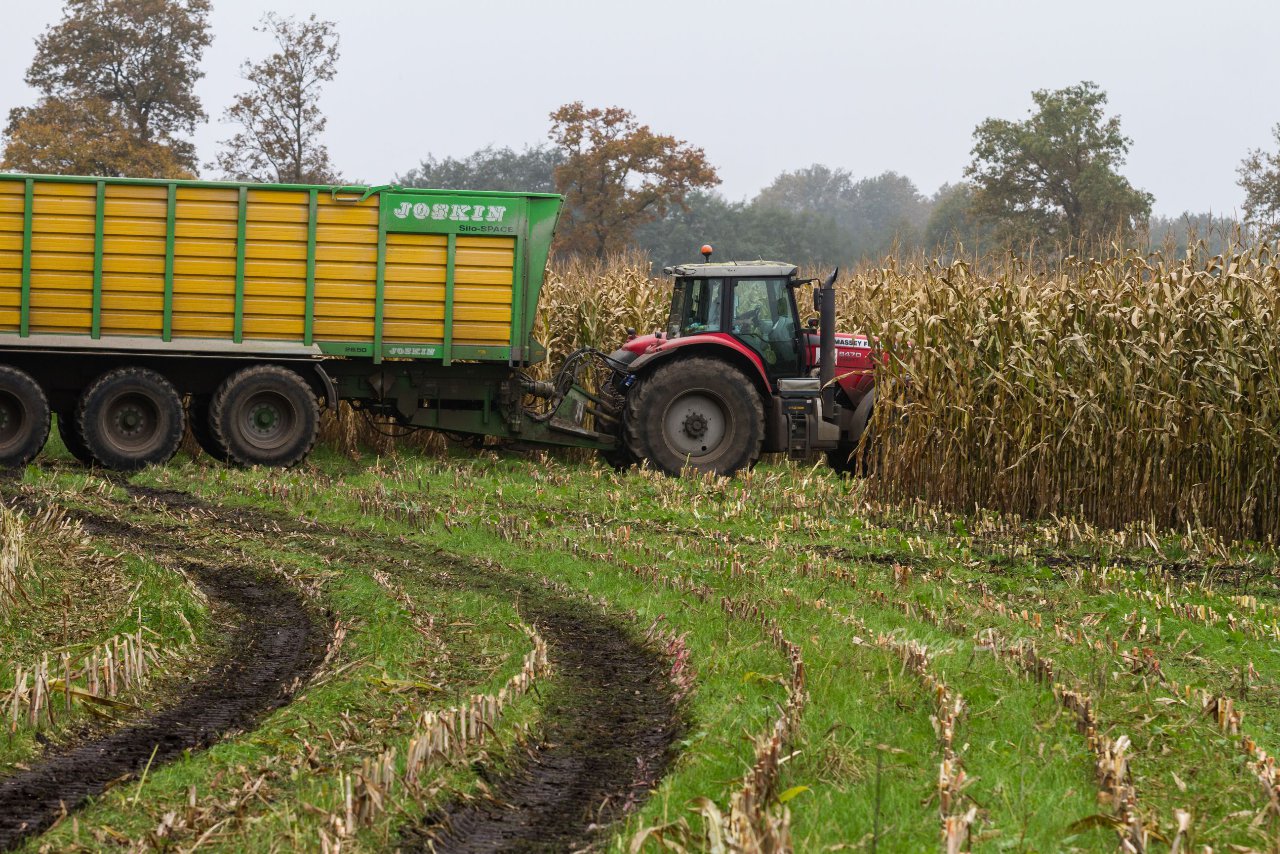 Bild 130 - Biogas am 21.10.12